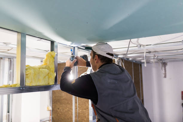 Best Insulation Installation Services in Griggsvle, IL