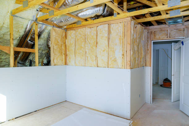 Best Insulation Maintenance and Repair in Griggsvle, IL
