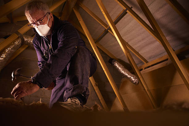 Best Insulation Materials and Products in Griggsvle, IL